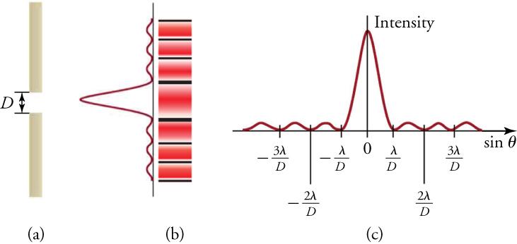 (a) A drawing of a single slit in a vertical screen. The slit has width labeled 'D.' (b) Drawing showing two patterns. On the left, a graph has a series of peaks and valleys that grow horizontally to the left. The central peak is largest, with much smaller peaks arranged symmetrically above and below it. To the right of the graph, a second pattern is a vertical array of horizontal bright bands separated by dark bands. They are aligned with the peaks of the graph in the first drawing. The bands are all