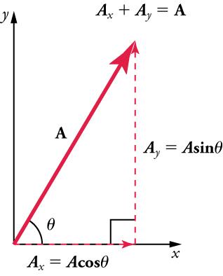 Vectors A x and A y form the legs of a right triangle and vector A forms the hypotenuse. Vector Ax is along an x-axis and vector Y is vertical and dashed. A x equals A times cosine angle. A y equals A times sine angle. A x plus A y equals A.