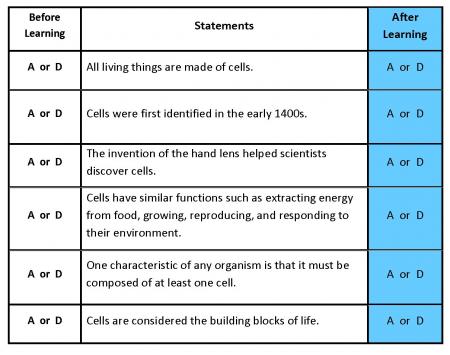 Discovering cell function worksheet answers