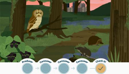 Food Chain interactive image