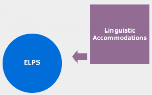 Linguistic accommodations