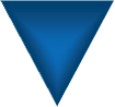 blue triangle for the overview section