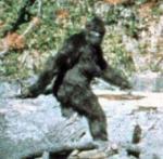 image of big foot